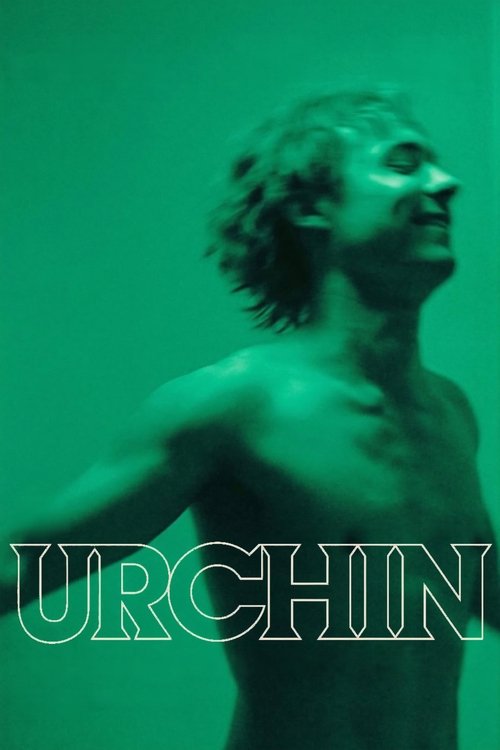 Urchin Poster